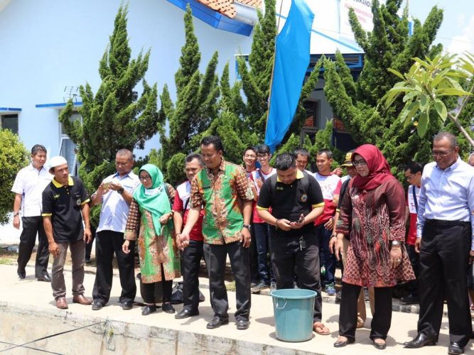 Sentra Minapolitan Ciseeng Jadi Percontohan