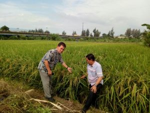 Pujian Khusus Untuk Mentan Terkait Kebijakan Pro Petani
