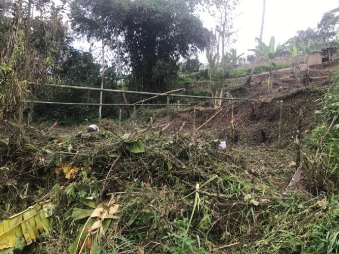 Kecamatan Megamendung Banyak Lahan Tidur