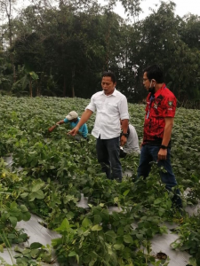 Ichsan FIrdaus Dukung HPPMI Lakukan Terobosan Ketahanan Pangan Indonesia