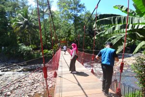 Nikmati Resto dan Kebun Binatang Mini di Cimory