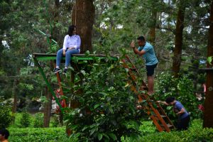Segarnya Puncak Bogor di Agro Wisata Gunung Mas