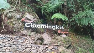 Curug Cipamingkis, Alternatif Wisata Di Tengah Pandemi