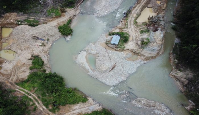 KLHK Tetapkan Pemodal Aktivitas Tambang Emas Ilegal di Hutan Lindung Sebagai Tersangka