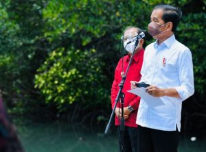 Presiden Ingin Replikasi Model Rehabilitasi Mangrove Bali untuk Daerah Lain