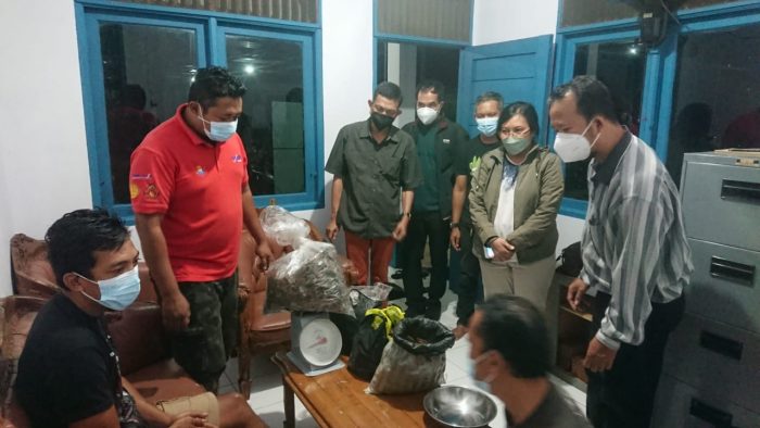 Pedagang Sisik Trenggiling Kalimantan  Diringkus