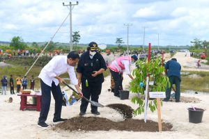 Bersama Masyarakat, Presiden Joko Widodo Tanam Pohon di Area Bekas Tambang