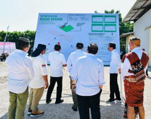 Presiden Jokowi Mengatakan Sorgum Menjadi Alternatif Bahan Pangan untuk Antisipasi Krisis Pangan Global