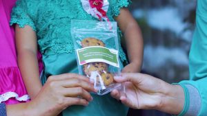 Melalui Pertamina Integrated Terminal Palembang Bekerjasama dengan Kelurahan Mariana Membangun Program Gerakan Wanita Tanam Sayuran