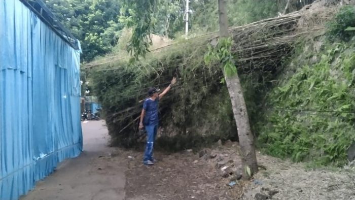 Warga Mengeluh Sudah Tiga Pekan Pasca Bencana Pohon Tumbang Belum Juga Ditangani