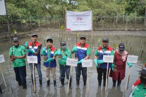 Tanam 1000 Mangrove di Margomulyo, Pertamina Perkaya Keanekaragaman Hayati