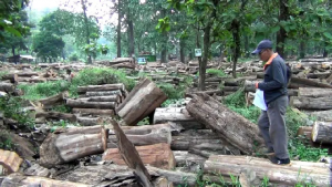 Kades Ciseureuheun Ngaku Terima Bagian Rp 16 Juta, Soal Dana Sharing LMDH