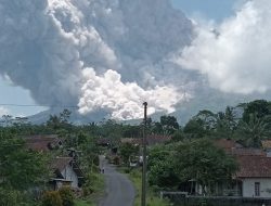 Gunung Merapi Muntahkan Awan Panas, Potensi Bahaya Capai Radius 7 Kilometer