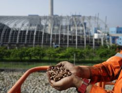 40 PLTU PLN Grup Mampu Turunkan Emisi Hingga 429 Ribu Ton CO2 Lewat Co-Firing