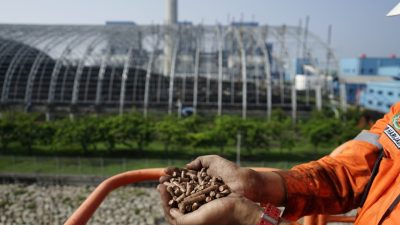 40 PLTU PLN Grup Mampu Turunkan Emisi Hingga 429 Ribu Ton CO2 Lewat Co-Firing