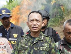 LADANG GANJA SIAP PANEN DI ACEH UTARA KEMBALI DIMUSNAHKAN BNN RI