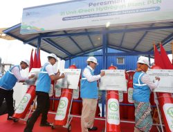 PLN Resmikan 21 Unit Green Hydrogen Plant, Per Tahun Mampu Produksi Hingga 199 Ton Hidrogen, Terbanyak di Asia Tenggara!