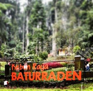 LIPI Akan Perbanyak Tetapkan Status Kebun Raya