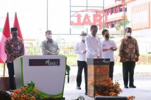 Berpotensi Besar, Jokowi Menegaskan Pentingnya Hilirisasi dan Industrialisasi Kelapa Sawit