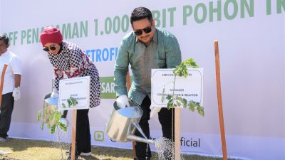 Elnusa Petrofin Tanam 1.000 Bibit Trembesi Guna Mendukung NZE