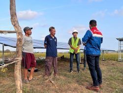 Terdapat 52 Titik Lokasi Desa Energi Berdikari Pertamina di Seluruh Indonesia